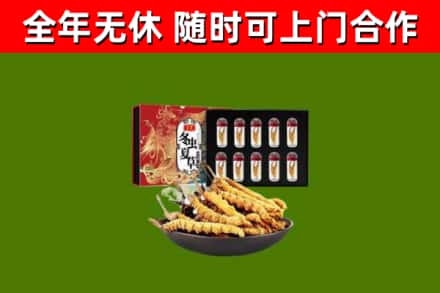 石岐区烟酒回收冬虫夏草礼盒.jpg